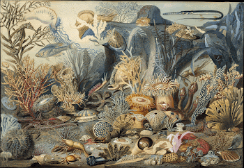 http://www.metmuseum.org/art/collection/search/12544 | Free Photo - rawpixel