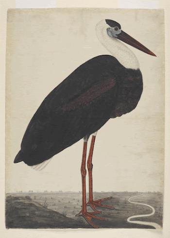 http://www.metmuseum.org/art/collection/search/454011 | Free Photo - rawpixel