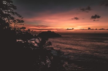 https://www.instagram.com/alexswbraga/
