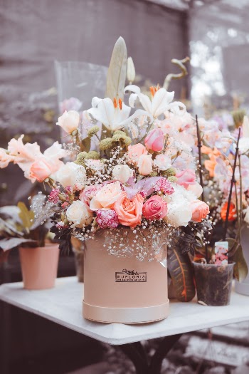 https://www.instagram.com/eufloriaflowerbox/