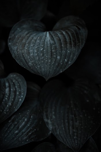 https://www.instagram.com/kevin.muellr/