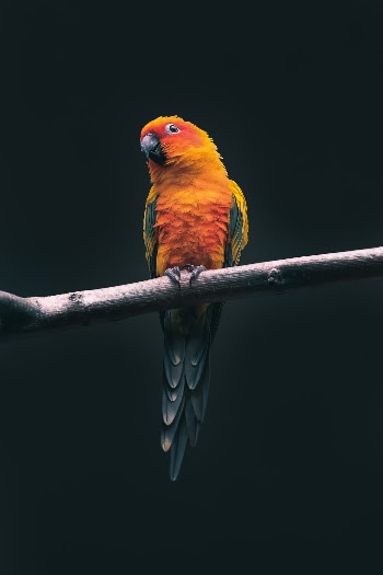 https://www.instagram.com/kevin.muellr/