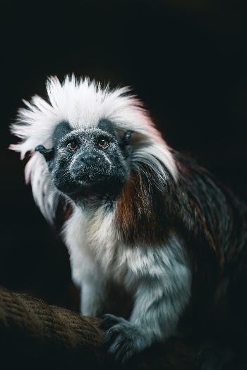 https://www.instagram.com/kevin.muellr/