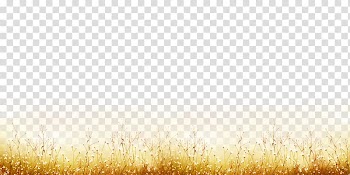 Huangcao border transparent background PNG clipart
