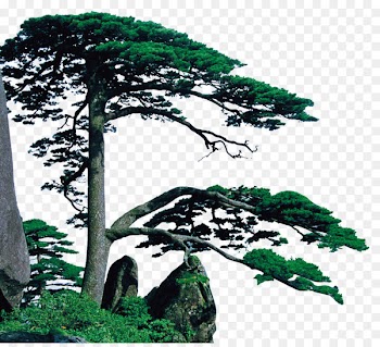 Huangshan Mountain Hefei Hongcunzhen Tourism Tourist attraction - cliffs ecommerce 