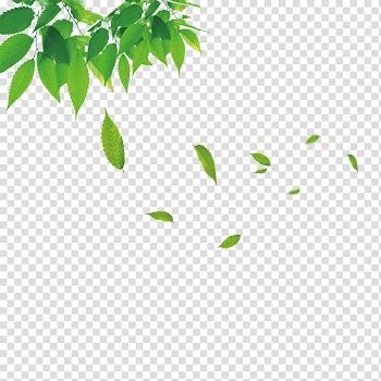 Huanxiangshan Road Information Icon, Floating leaves transparent background PNG clipart