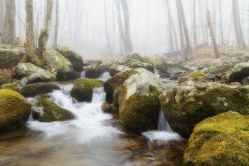 Hughes River Near Corbin Cabin. | Free Photo - rawpixel