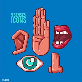 Human 5 senses icons illustration | Free stock vector - 504838
