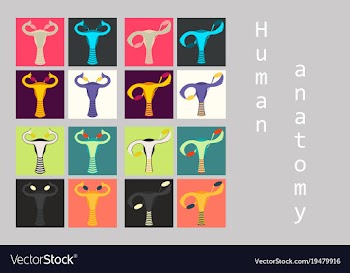 Human body internal organs medical flat isolated vector image
