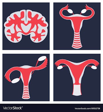 Human body internal organs medical flat isolated vector image