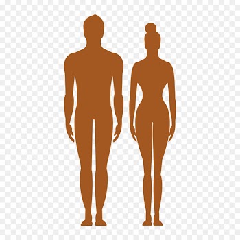 Human body Silhouette Clip art - Vector man woman sign body profile 
