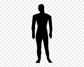 Human Body Silhouette Medical Illustration Clip Art - Human Body Clip Art