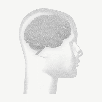 Human brain, black and white | Free Photo - rawpixel