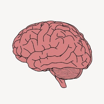 Human brain collage element, Halloween | Free PSD - rawpixel