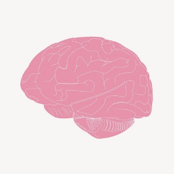 Human brain collage element, Halloween | Free PSD - rawpixel