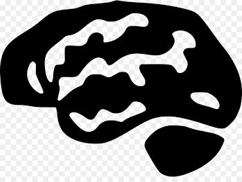 Human brain Computer Icons Scalable Vector Graphics - brain 