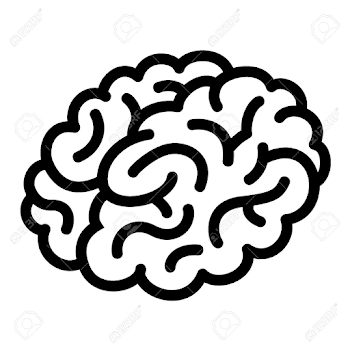 Human Brain Icon. Outline Human Brain Vector Icon For Web Design ...