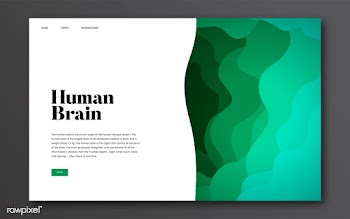 Human brain informational website graphic | Free stock vector - 458369