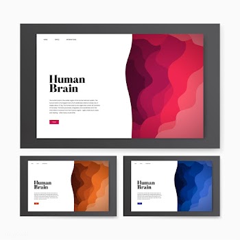 Human brain informational website graphic | Free stock vector - 458387