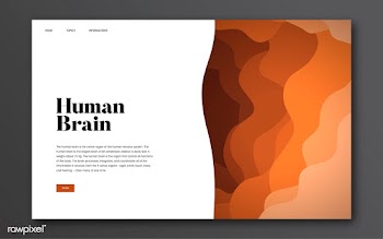 Human brain informational website graphic | Free stock vector - 458462