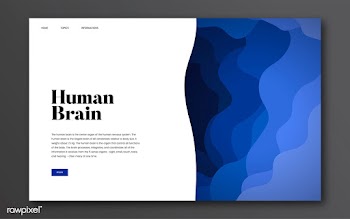 Human brain informational website graphic | Free stock vector - 458464