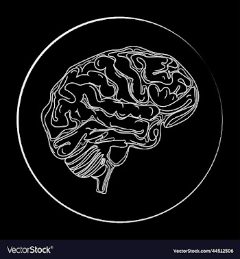 human brain line drawing