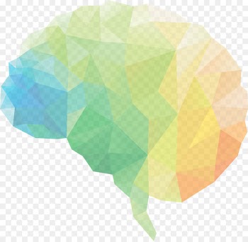 Human brain Neuroscience Brain damage Brain injury - Brain 