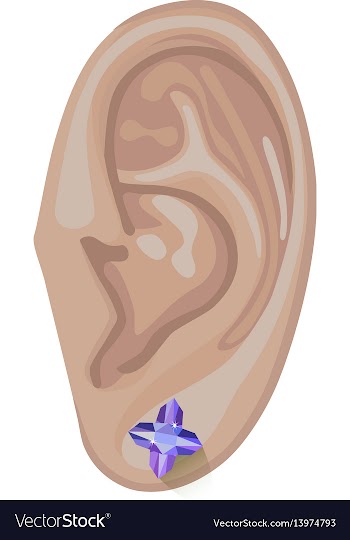 Human ear and earring vector image