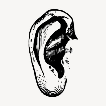 Human ear, body part illustration | Free Vector Illustration - rawpixel