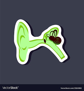 Human ear paper sticker on stylish background vector image