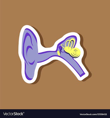 Human ear paper sticker on stylish background vector image