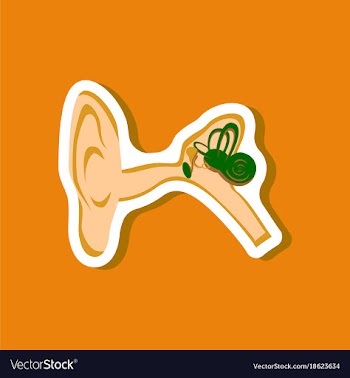 Human ear paper sticker on stylish background vector image