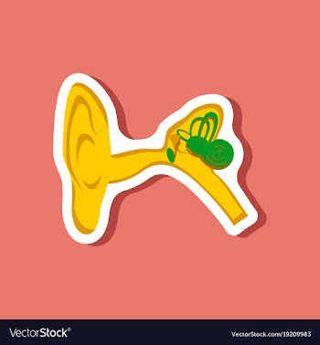 Human ear paper sticker on stylish background vector image