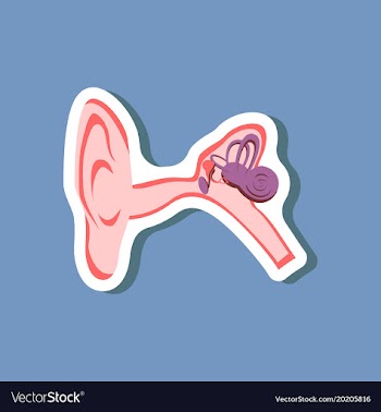 Human ear paper sticker on stylish background vector image