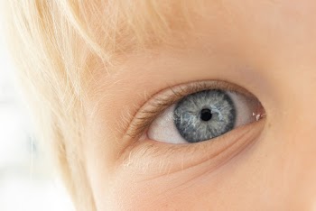 Human Eye