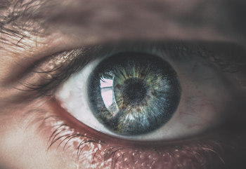 Human Eye