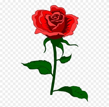 Human Eye Light Camera - Mother's Day Rose