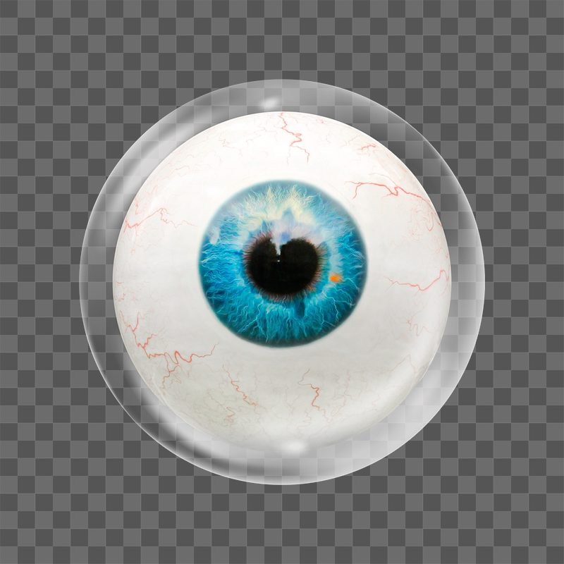 Human eyeball png sticker, bubble | Free PNG - rawpixel