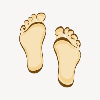 Human feet clipart, cartoon illustration. | Free Photo - rawpixel