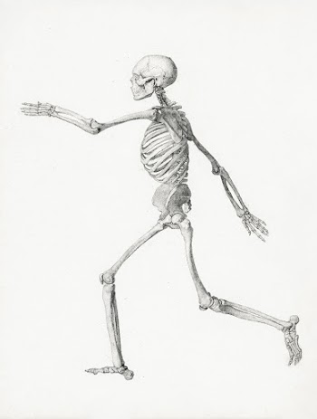 Human Figure, Lateral View (Finished study… | Free public domain illustration