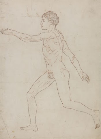 Human Figure, Lateral View (Outline | Free Photo - rawpixel