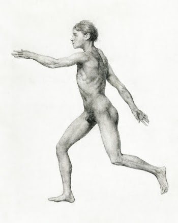 Human Figure, Lateral View, Undissected… | Free public domain illustration