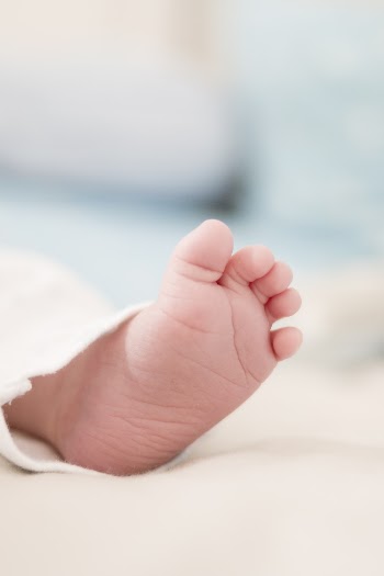Human Foot