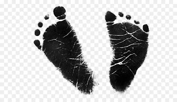 Human Fur Black Shoe Font - baby transparent 