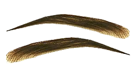 Human Hair Eyebrow Wigs In Three Styles