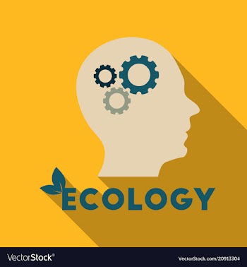 Human head and gears instead of the brain vector image