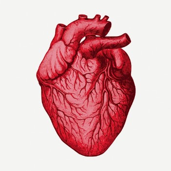 Human heart clipart, collage element | Free PSD - rawpixel