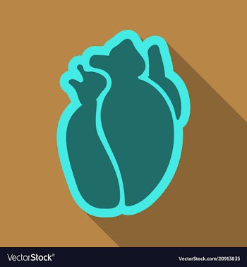 Human heart flat style simple of human internal vector image