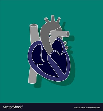 Human heart paper sticker on stylish background vector image