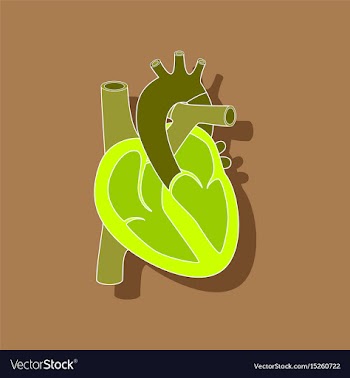 Human heart paper sticker on stylish background vector image